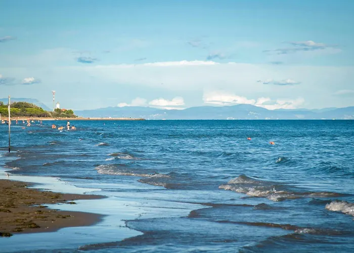 In 31322 Appartement